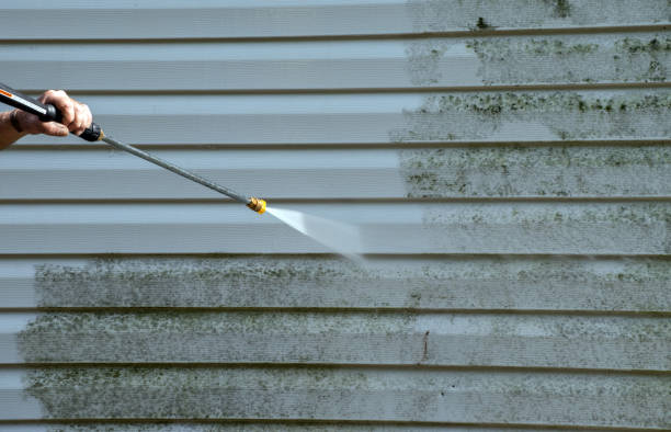 Best Mold Damage Repair  in Wallace, NC