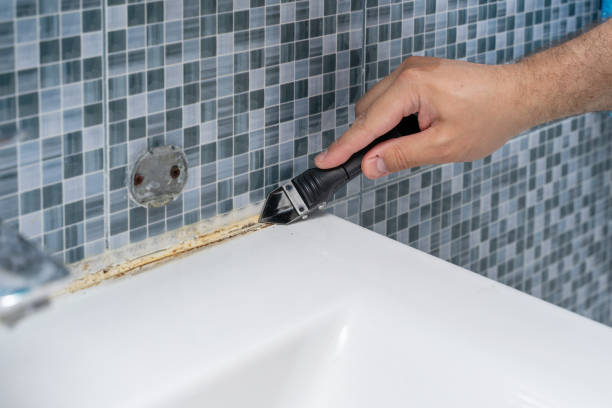 Best Local Mold Removal Service  in Wallace, NC